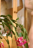 ATK Premium: Yulia (Yulia in artistic)