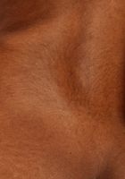 ATK Petites: Yvette (Yvette wiggles out of her dress and spreads her exotic snatch)