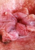 ATK Galleria: Zara Ryan (Devyn Lux loses the swimsuit just for you)