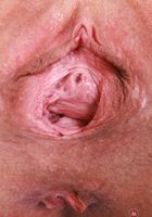 ATK Galleria: Zara Ryan (Devyn Lux loves showing off her behind)