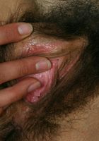 ATK Archives: Zephora (Zephora in babes)