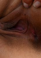 ATK Premium: Ziggy Star (Petite Beauty Ziggy Star Shows Off Her Little Body)