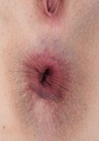 ATK Galleria: Zoe Parker (Zoe Parker in her patriotic bikini)