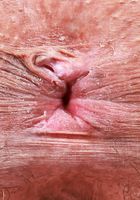 ATK Natural & Hairy: Zoey Jpeg (Zoey Jpeg has some hair for sure)