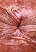 Zoey Jpeg from ATK Natural & Hairy